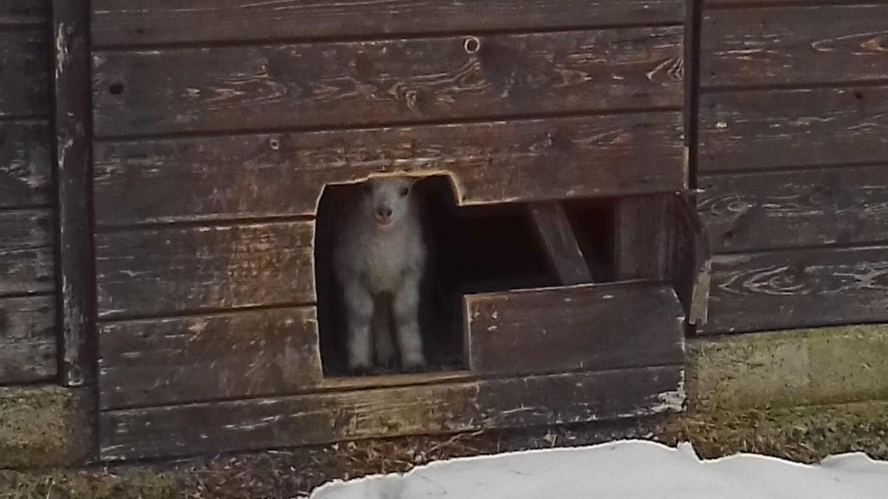 Vila Poggio A Poppi Exteriér fotografie